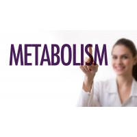 Как разогнать замедленный метаболизм?